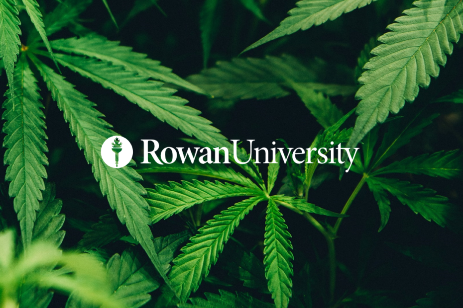 Rowan University Cannabis Commercialization Program